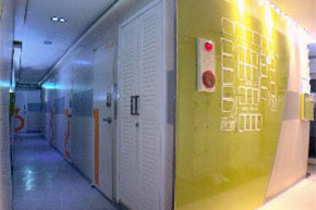 �ü�����